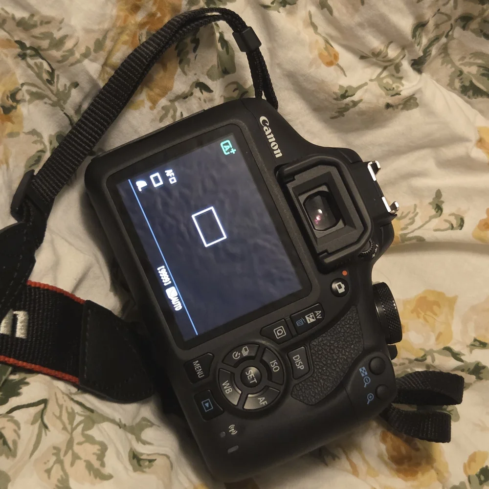 Canon Black Digital Cameras EOS Series